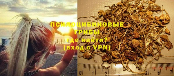 трава Надым