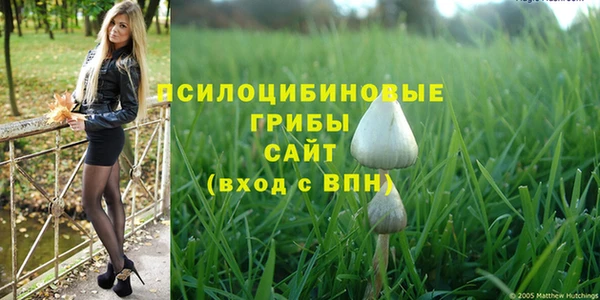 трава Надым