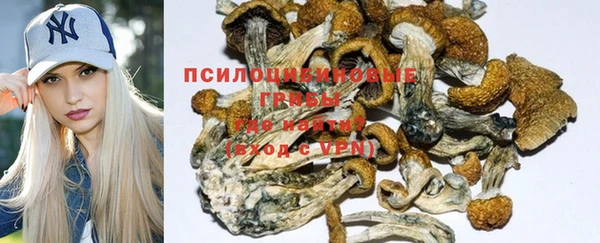 молекула духа Наволоки