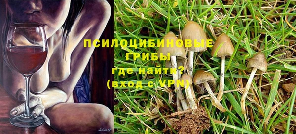 трава Надым