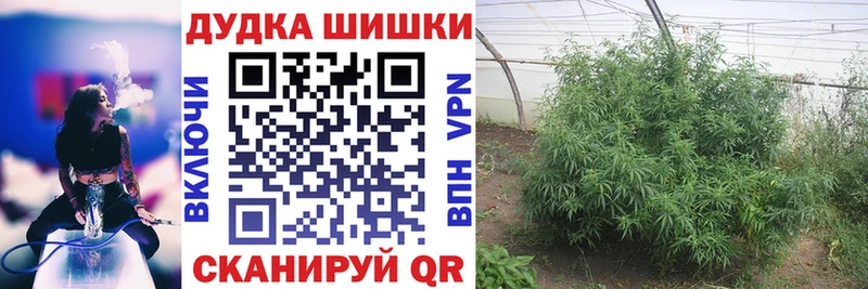 Купить  Тайга  Каннабис Ganja 